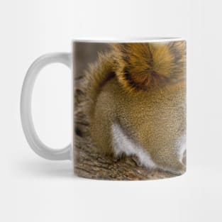 Red Squirrel Mug